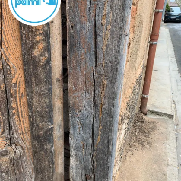 Termites en Tarn-et-Garonne - 82 - Lionel GAUBERT