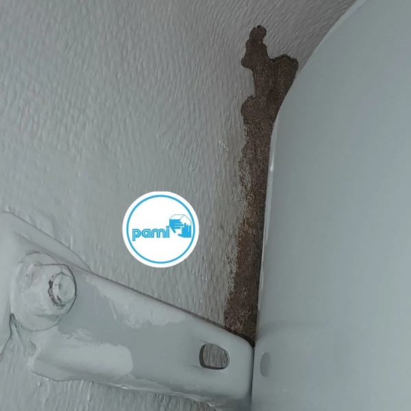 Termites dans les Pyrénées Orientales - 66 - Alexis JOUANOLE