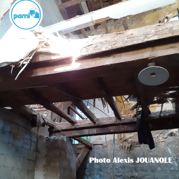 Termites dans les Pyrénées Orientales - 66 - Alexis JOUANOLE