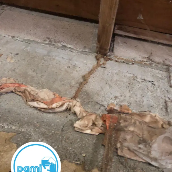 Termites en Haute-Garonne - François MADEC - PAMI