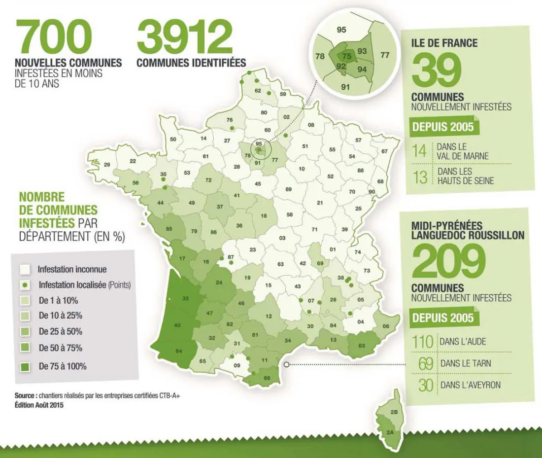 france termites carte