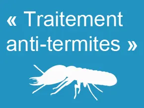 traitement termites